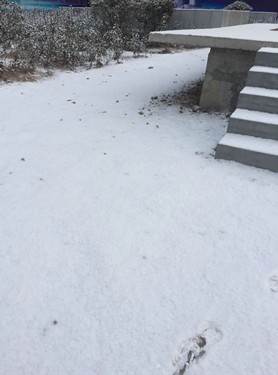 snow 2.JPG